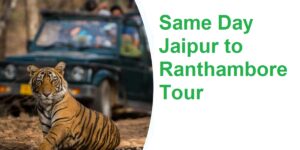 Same Day Jaipur to Ranthambore Tour