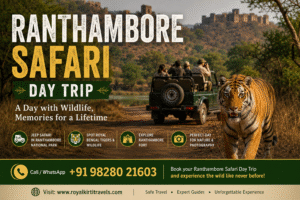 Ranthambore Safari Day Trip