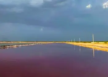 Sambhar Lake Tour from Jaipur